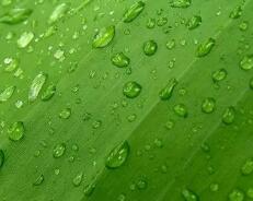 自学python经历（零基础零经验自学Python,到精通Python要多久啊）